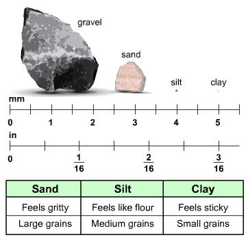 The type of rock a soil forms from is known as the parent material. Here are three common types of soil: sand, silt, and clay.