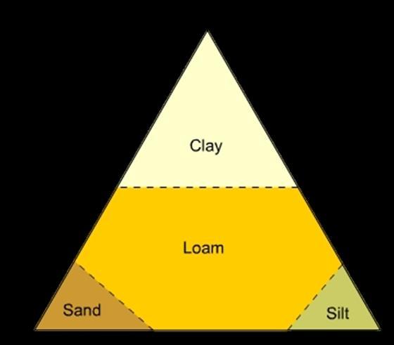 Loam The perfect soil for plants and soil organisms is a mixture of sand,