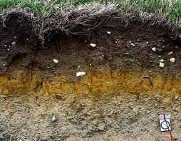 A soil profile is a crosssection of the soil layers