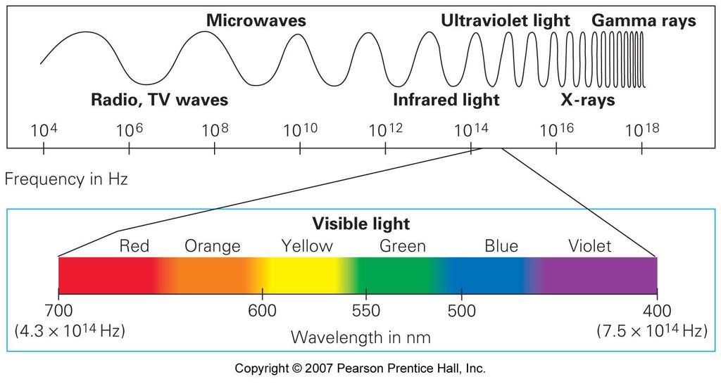 Electromagnetic Waves Electromagnetic waves can have any