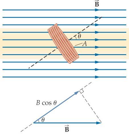 Magnetic Flux Magnetic Flux is a measure of the number of magnetic field lines that cross a given