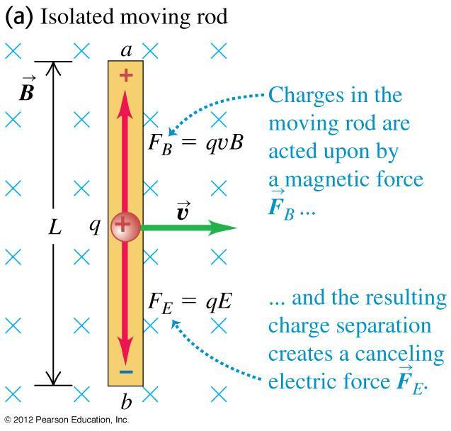 Motional EMF/ Slide Generators Mobile charges (electrons) in metal rod deflect down (-) in moving rod