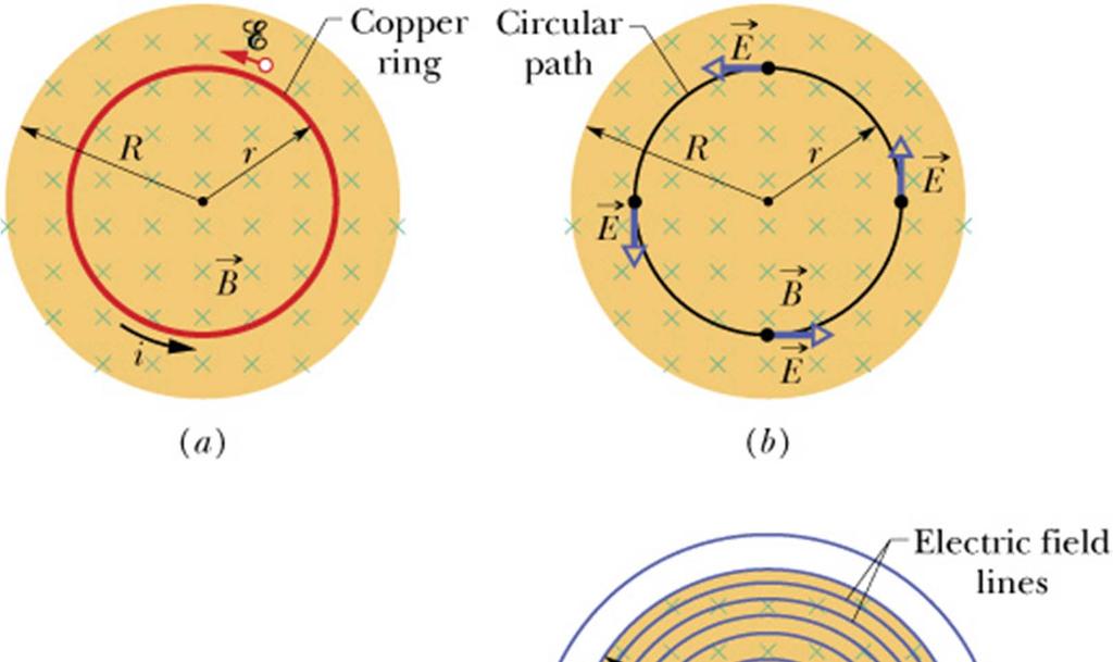 Induced Electric Fields Consider the copper ring of raus r shown in the figure.