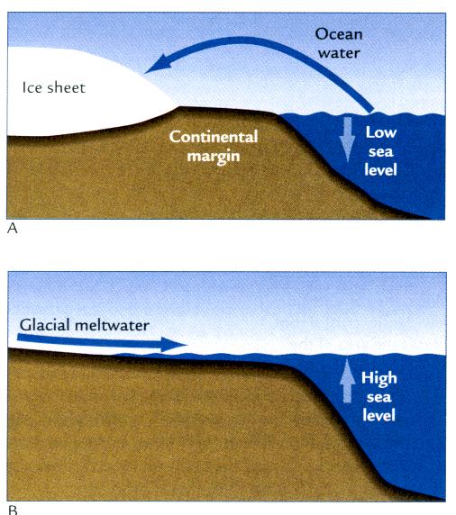 Land Ice and Sea Level The Antarctic Ice Sheet holds the equivalent in seawater of 66 meters of global sea level.
