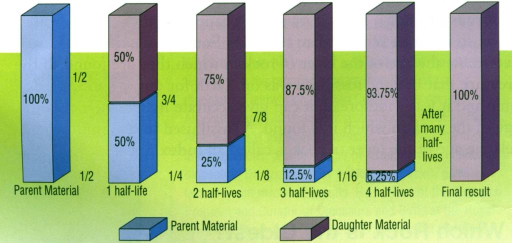 After each half-life, only one half of the parent material