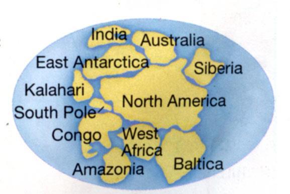 Is this how the supercontinent Rodinia looked