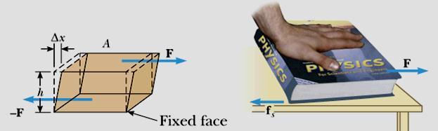 opposite face is held fixed by another force See