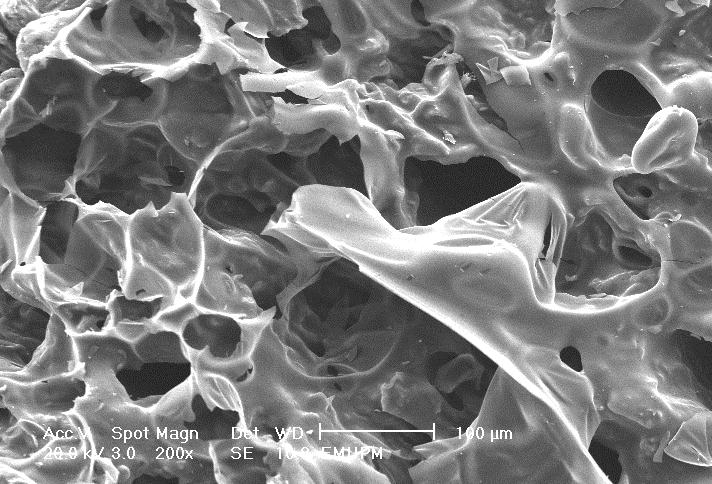 Vol. 24, No. 2 (212) Physical Characterization of Activated Carbon Derived from Mangosteen Peel 583 smooth and clear appearances (Fig. 6).