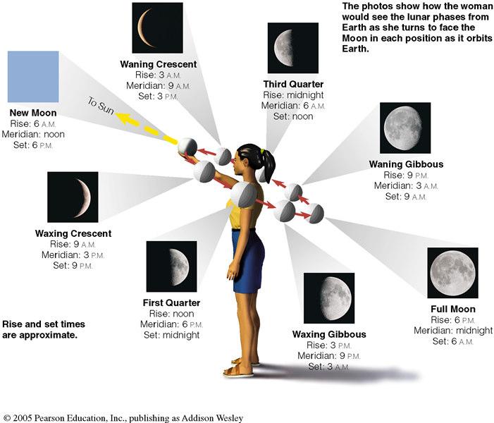 Lunar Motion Phases of the Moon s 29.