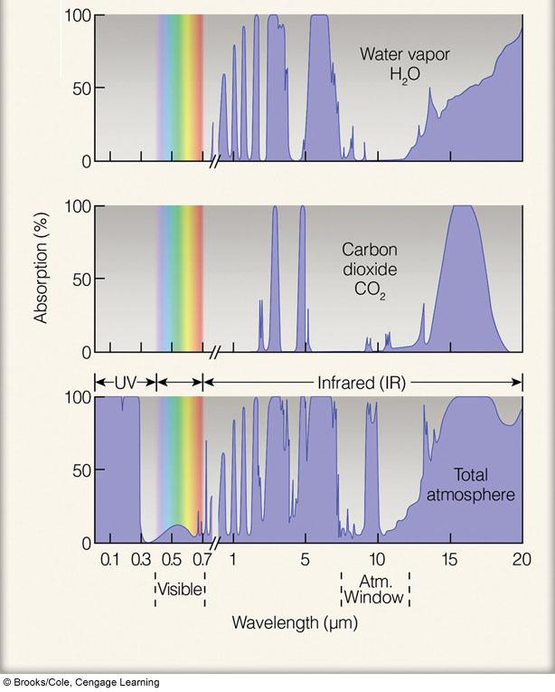 absorption spectra for the two main greenhouse gases (CO 2 and H 2
