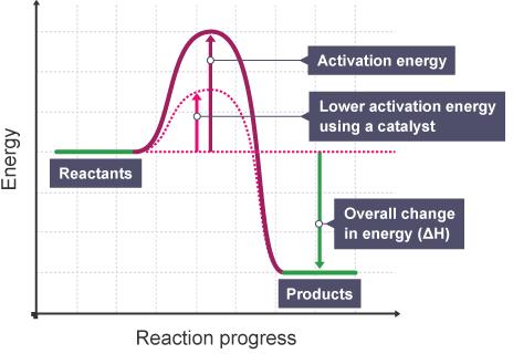 Q47 Figure 3 Label figure 3, showing the energy changes in chemical reactions. A47 1-activation energy, 2- overall change in energy ( H), 3- products, 4- reactants Q48 Study figure 3.