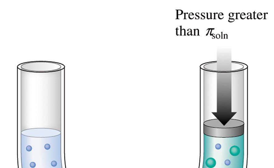 Osmosis Osmosis Which side has the lower free energy? A. The solution B. The pure solvent C. They are the same D.