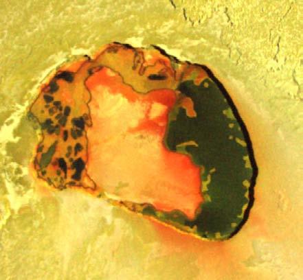 The resulting tidal friction greatly heats Io's interior,