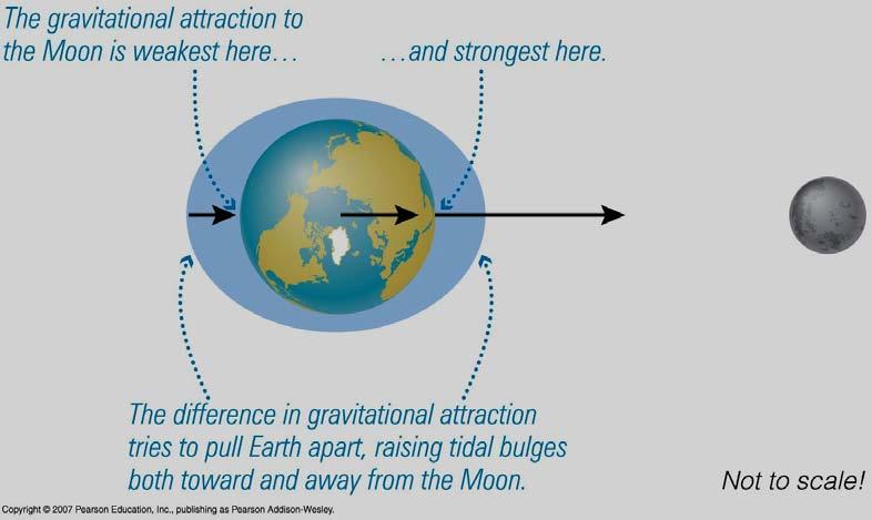 Synchronous rotation of the Moons Calculation. Calculate the the tidal force that a planet exerts on its moon (per kg).