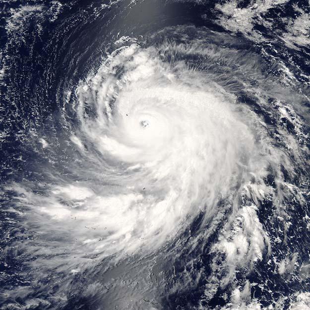 Annual Tropical Cyclone Report U.S.