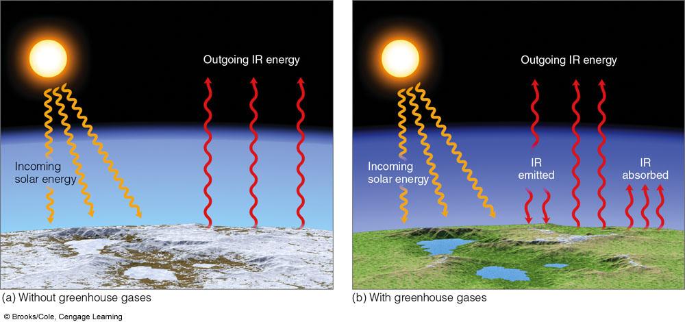Greenhouse effect: the atmosphere selectively absorbs infrared radiation from the Earth s surface but acts as a window and transmits shortwave radiation 25 26 Fig. 2-11, p.