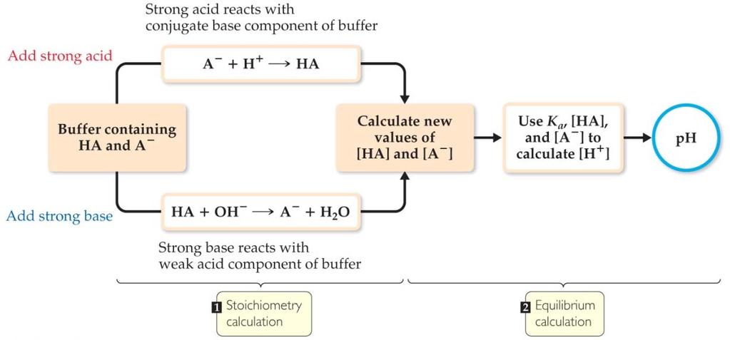 Sample Exercise 17.6 Calculating ph Changes in Buffers A buffer is made by adding 0.300 mol CH 3 COOH and 0.300 mol CH 3 COONa to enough water to make 1.000 L of solution. The ph of the buffer is 4.