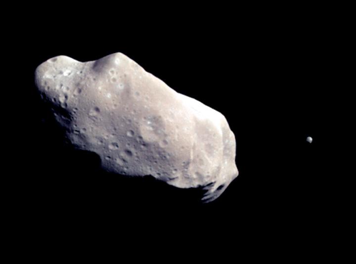 Ida (about 58 km long) and its moon Dactyl: