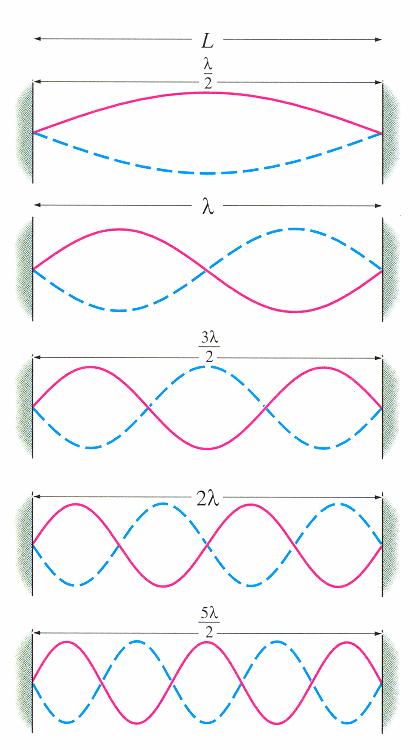 Standing waves = waves that fit boundary conditions for