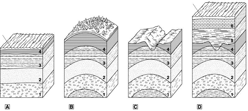 Movement of Earth s Crust Section 15-2 Sea level Sea level Sedimentary rocks form in horizontal layers.