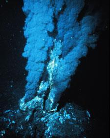 Chemosynthesis The sulfur species of bacteria can produce
