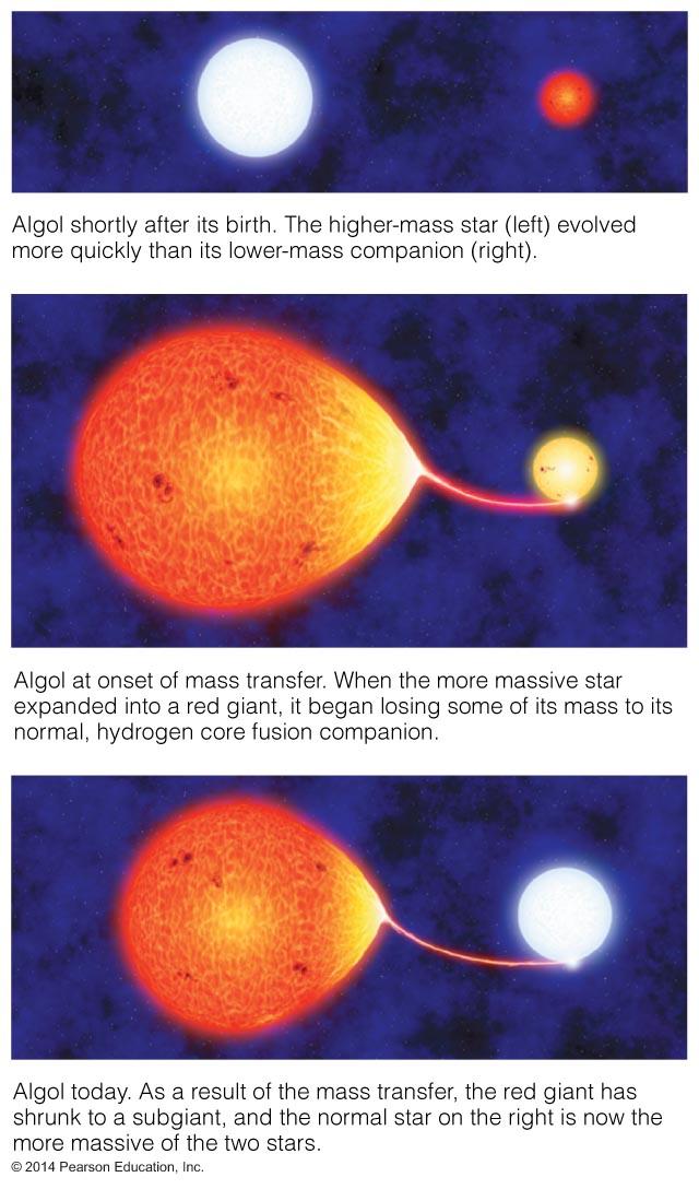 A star that started with less mass gains mass from its companion.