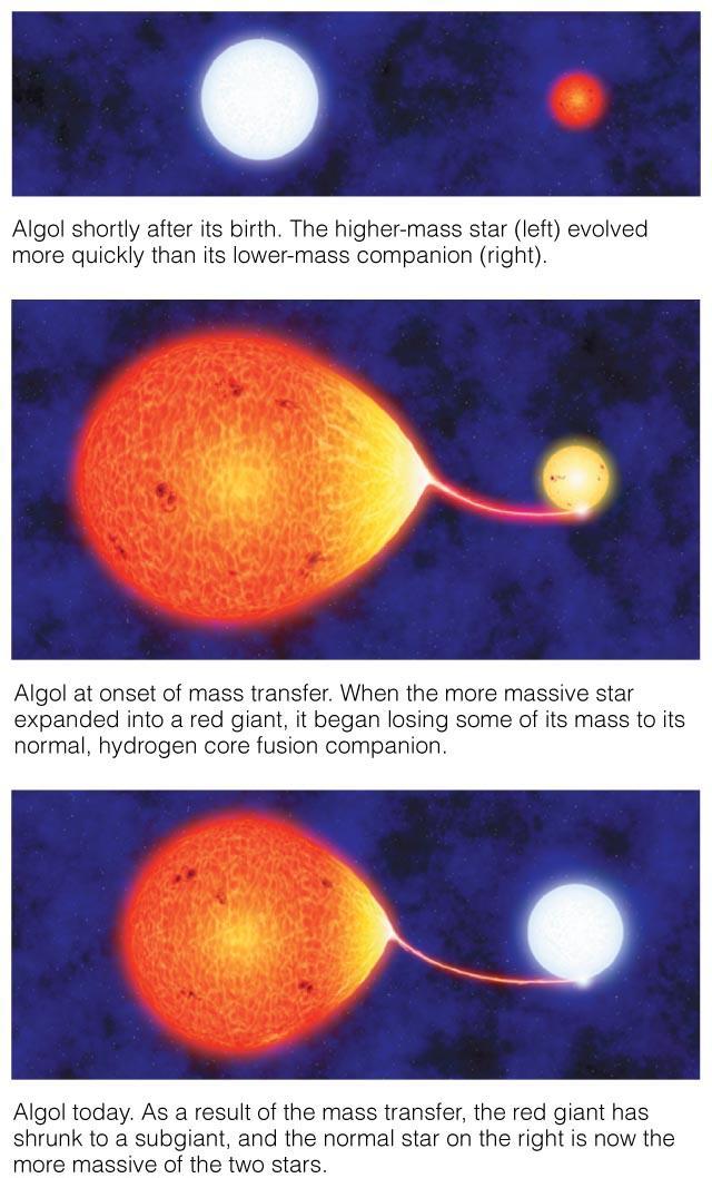 A star that started with less mass gains mass from its companion.