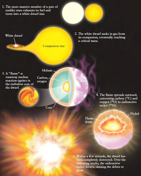 Type Ia Supernova Type Ia supernovae are thought to result from the thermonuclear explosion of a white dwarf star that is in a binary system with a red giant star.