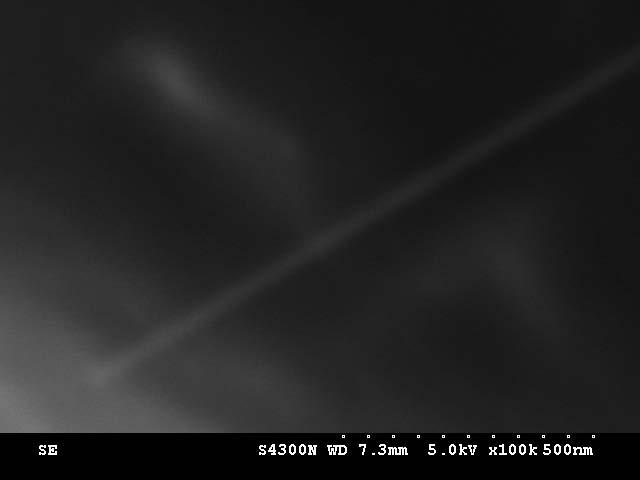 Competitive Carbon Deposition The CNT was imaged by the SEM