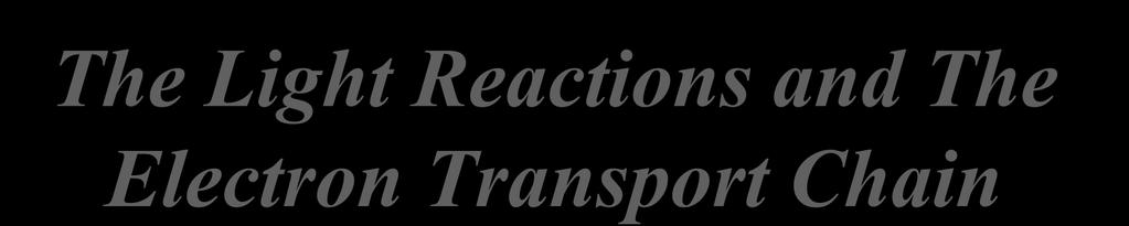 The Light Reactions and The Electron