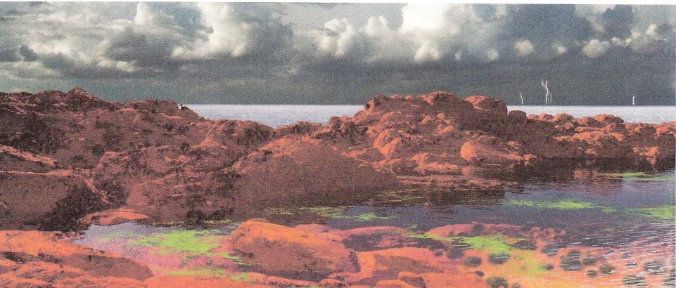 Red Earth, 2 billion years ago Photosynthesizing organisms created enough oxygen to form huge bands