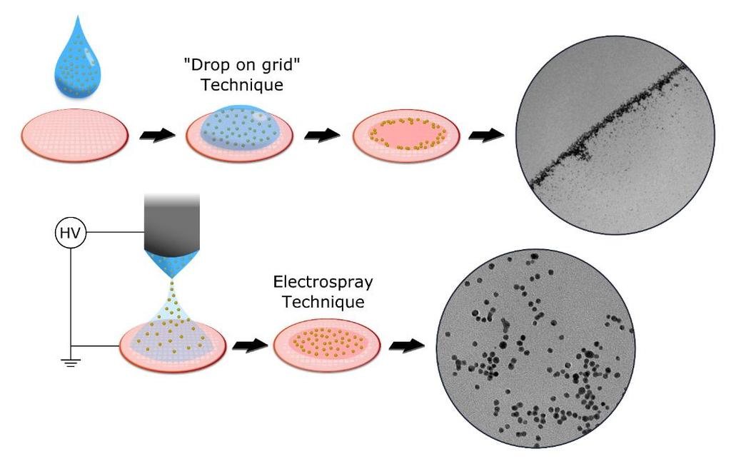 Motivation and goal Sample preparation method for nanoparticle characterization by EM.