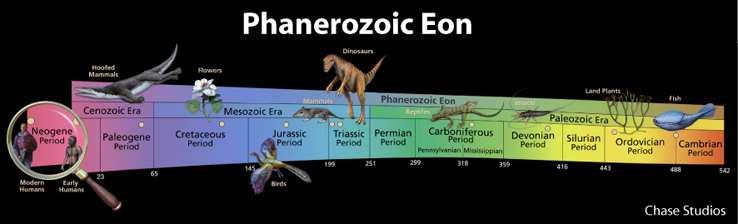 Slide 7 / 106 The Phanerozoic Eon The Phanerozoic Eon covers only the last 10% of Earth's history and is split into three eras, the Cenozoic, Mesozoic