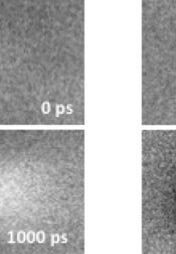 Following the optical excitation, a bright contrast emerges on the surfaces of the lightly doped sample with an intensity that systematically