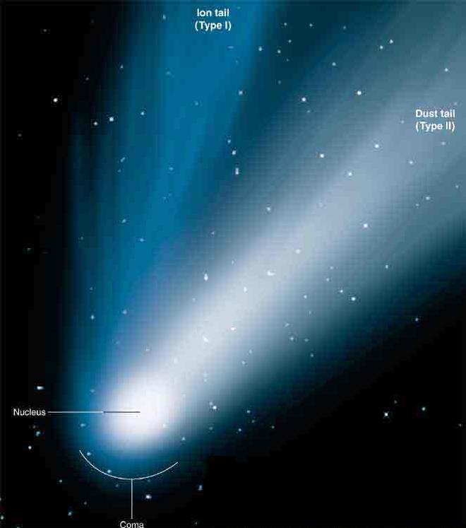 Two Types of Tails Ion tail: Ionized gas pushed away from the comet by the solar wind, pointing straight away from the sun Dust tail: Dust set