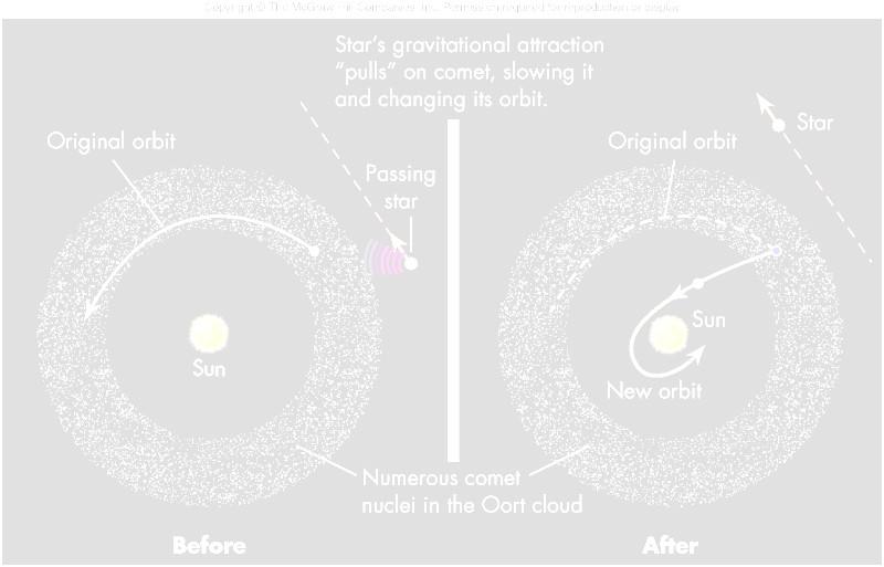 The Oort Cloud Originally orbiting among the giant planets as planetesimals, comets were tossed into the Oort cloud by those planets The shape of the Oort cloud is determined from observations of
