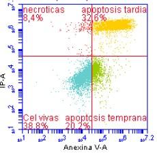 Annexin-V analysis of