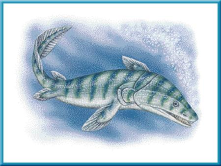 + n Most fish, both ancient and modern, breathe through gills. But in the Devonian Period, many fish also had lungs.