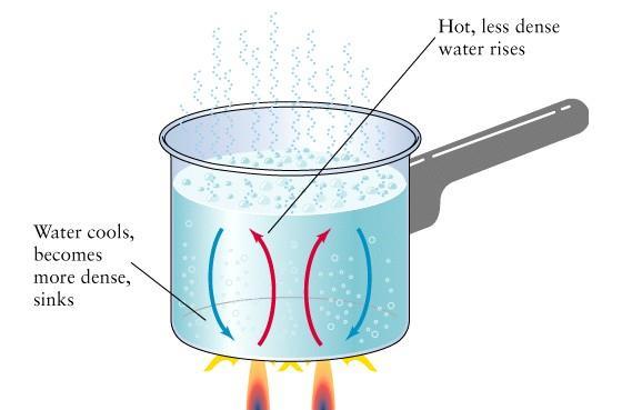 Solar Heating & Convection Heat from the sun can be absorbed by: AIR molecules (i.e. troposphere) WATER molecules (i.e. oceans) The HEATING OF AIR AND WATER molecules causes a VERTICAL motion of these molecules.