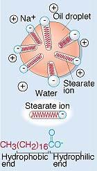 *an aggregate of surfactant molecules dispersed in a liquid colloid.