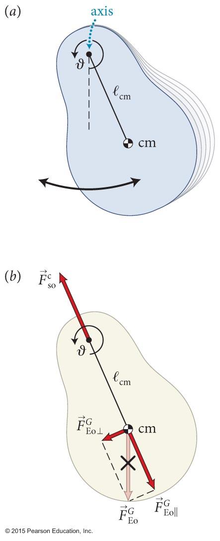 Section 15.7: Restoring torques The pendulum is another example of a rotational oscillator.