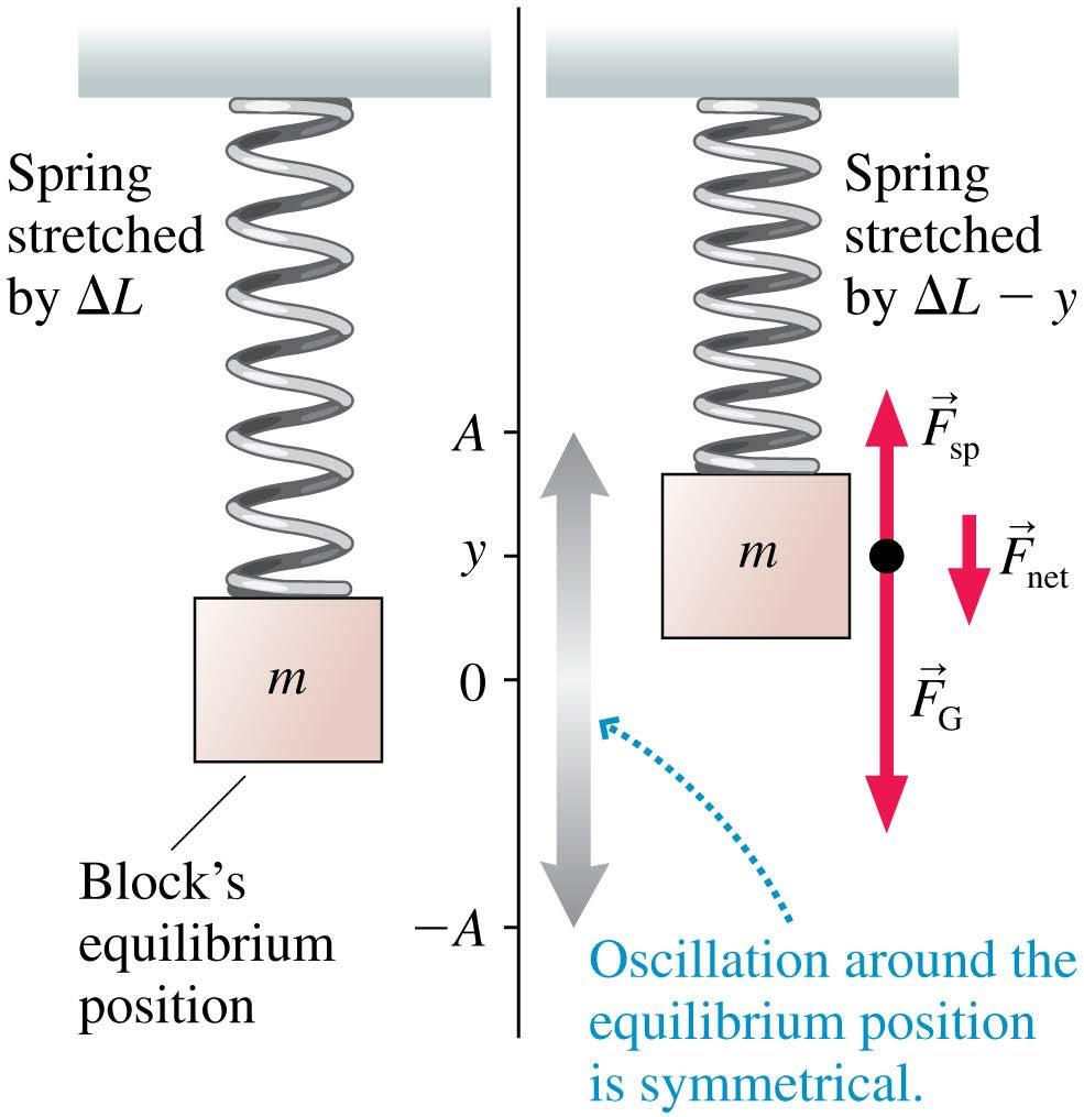 Vertical Oscillations Motion for a mass hanging from a spring is the same