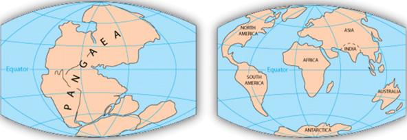About 250 million years ago, all the continents on Earth formed one supercontinent called Pangaea. Can you locate the present-day continents in Pangaea? What do you know?