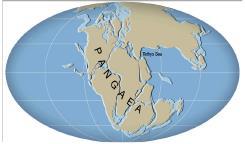 Topic 2: Continental Drift Continental Drift: the theory that all continents were once a single landmass
