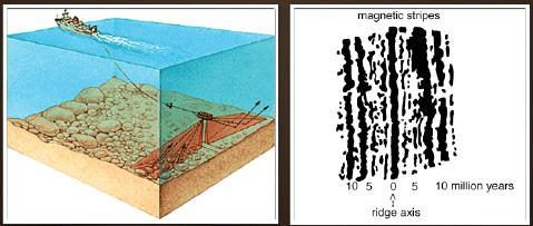 Topic 4: Crustal Boundaries Divergent Plate Boundary Evidence Scientists dragged a magnetometer across the ocean floor and discovered a unique magnetic