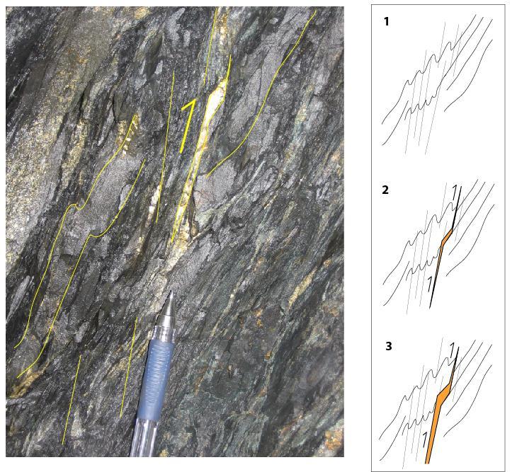 Ma Local scale relationships Vein bedding relationships also indicative of reverse sinistral movement Chalcopyrite and Quartz boudin within a steeply dipping