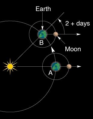 Synodic Period of Moon 29.531 days Courtesy: K & K Time between full moons is synodic period of 29.