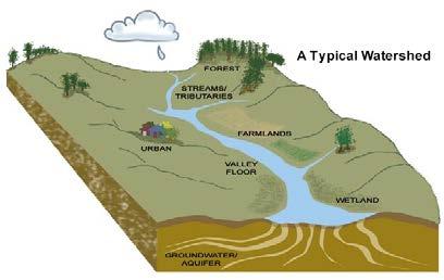 River - Source of Water and Flow Water derived from rain or snowmelt; moves over land surface or through ground into river.