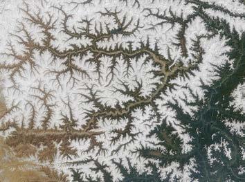 Drainage Pattern Pattern of river and its tributaries often looks like veins of