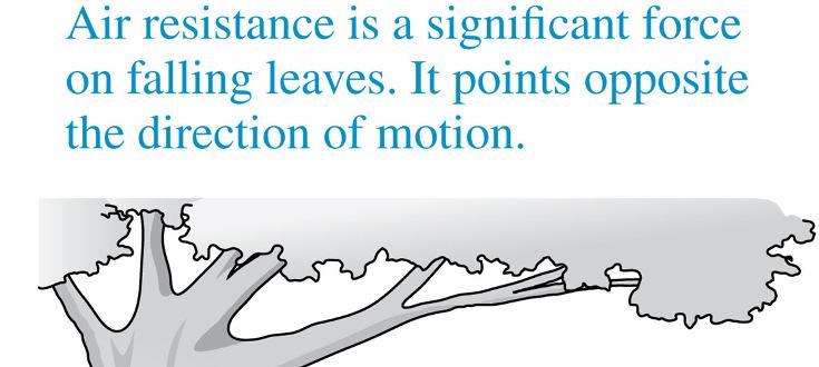 Static friction points in the direction necessary to prevent motion.